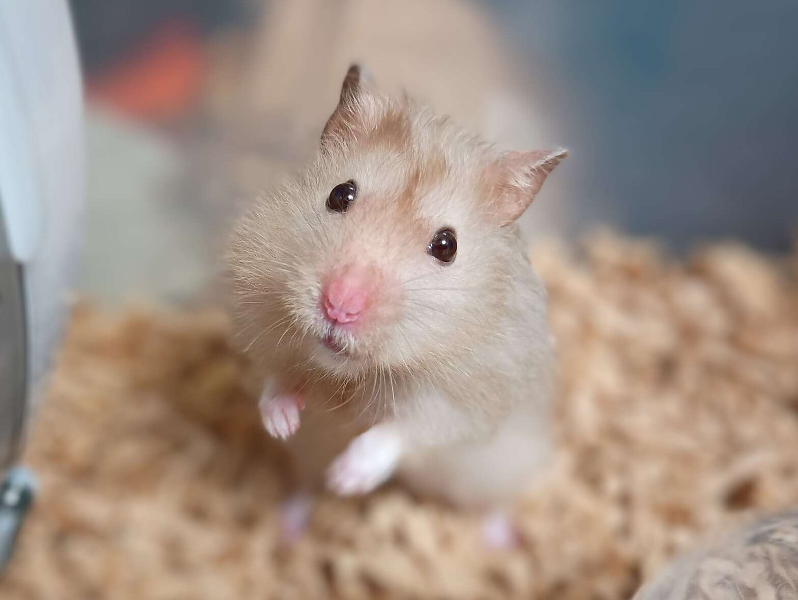 20251130_115828 20251130_115828